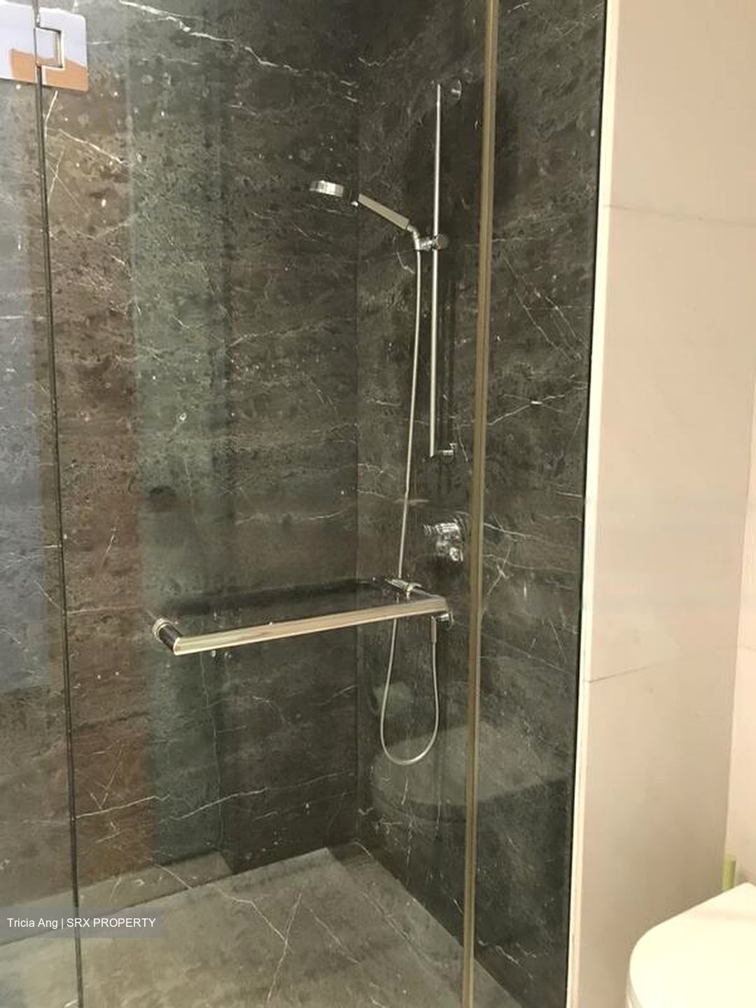 St. Regis Residences (D10), Apartment #468366381